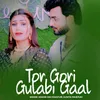 About Tor Gori Gulabi Gaal Song